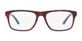 Polo PH2211 Eyeglasses | Size 55
