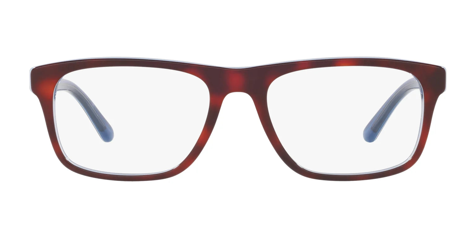 Polo PH2211 Eyeglasses | Size 55