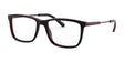 Polo PH2216 Eyeglasses Shiny Black / Red / Black