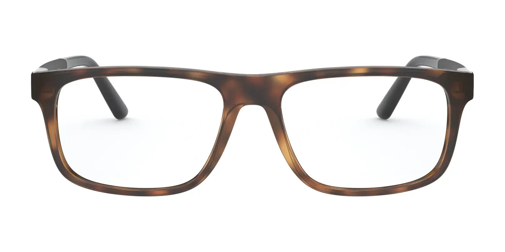 Polo PH2218 Eyeglasses | Size 56