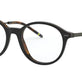Shiny Black On Jerry Tortoise №5260