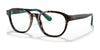 Polo PH2228 Eyeglasses | Size 52 / Dark Havana №5003