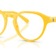 Shiny Yellow №5420