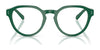 Polo PH2233 Eyeglasses / Shiny Dark Green №6141 / Size 48