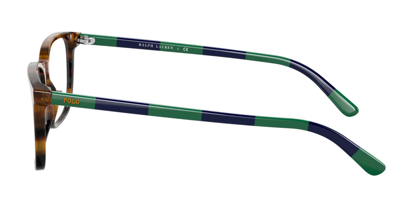 Polo PH2234 Eyeglasses | Size 54