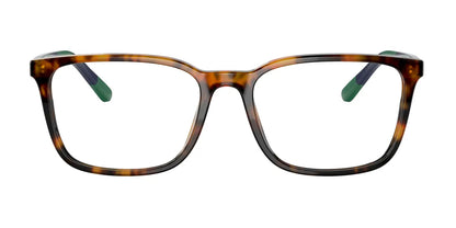 Polo PH2234 Eyeglasses | Size 54