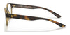 Polo PH2238 Eyeglasses | Size 51 / Matte Havana №5003