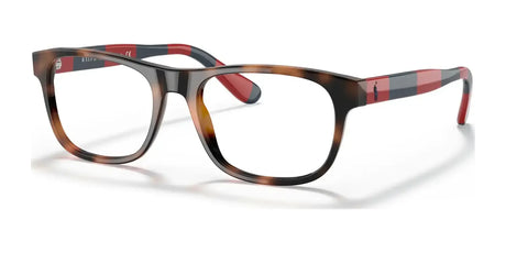 Polo PH2240 Eyeglasses Shiny Jc Tortoise