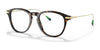 Polo PH2241 Eyeglasses | Size 50 / Shiny Dark Havana №5003