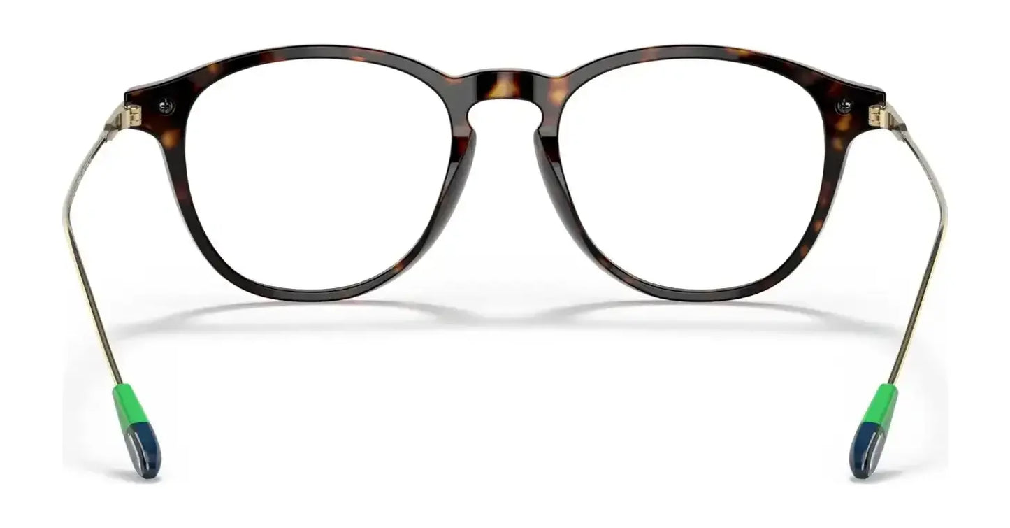 Polo PH2241 Eyeglasses | Size 50