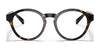Polo PH2243 Eyeglasses | Size 50 / Shiny Dark Havana №5003