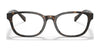 Polo PH2244 Eyeglasses | Size 54 / Dark Havana №5003