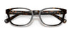 Polo PH2244 Eyeglasses | Size 54 / Dark Havana №5003