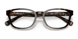 Polo PH2244 Eyeglasses | Size 52