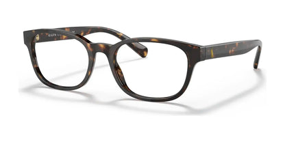 Polo PH2244F Eyeglasses Shiny Dark Havana