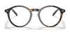 Polo PH2246F Eyeglasses | Size 50 / Shiny Dark Havana №5003