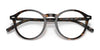 Polo PH2246F Eyeglasses | Size 50 / Shiny Dark Havana №5003