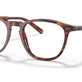 Shiny Striped Havana №5007