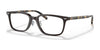 Polo PH2248D Eyeglasses | Size 53 / Shiny Transp Brown №5883