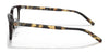 Polo PH2248D Eyeglasses | Size 53 / Shiny Transp Brown №5883