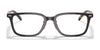 Polo PH2248D Eyeglasses | Size 53 / Shiny Transp Brown №5883