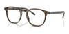 Polo PH2254F Eyeglasses | Size 51 / Shiny Jerry Havana №5017