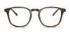 Polo PH2254F Eyeglasses | Size 51 / Shiny Jerry Havana №5017