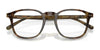 Polo PH2254F Eyeglasses | Size 51 / Shiny Jerry Havana №5017