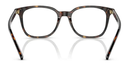 Polo PH2256F Eyeglasses | Size 53