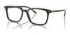 Polo PH2259 Eyeglasses | Size 56 / Shiny Dark Havana №5003