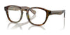 Polo PH2261U Eyeglasses / Shiny Beige Tortoise №5017 / Size 53