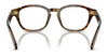 Polo PH2261U Eyeglasses / Shiny Beige Tortoise №5017 / Size 53