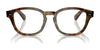 Polo PH2261U Eyeglasses / Shiny Beige Tortoise №5017 / Size 53