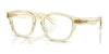 Polo PH2261U Eyeglasses / Shiny Transparent Yellow №6088 / Size 51