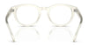 Polo PH2262 Eyeglasses / Shiny Transparent Brown №6086 / Size 48