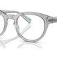 Shiny Transparent Grey №5965