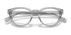 Polo PH2262 Eyeglasses / Shiny Transparent Brown №6086 / Size 48