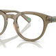Shiny Transparent Light Brown №6085