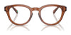 Polo PH2262 Eyeglasses / Shiny Transparent Brown №6086 / Size 48