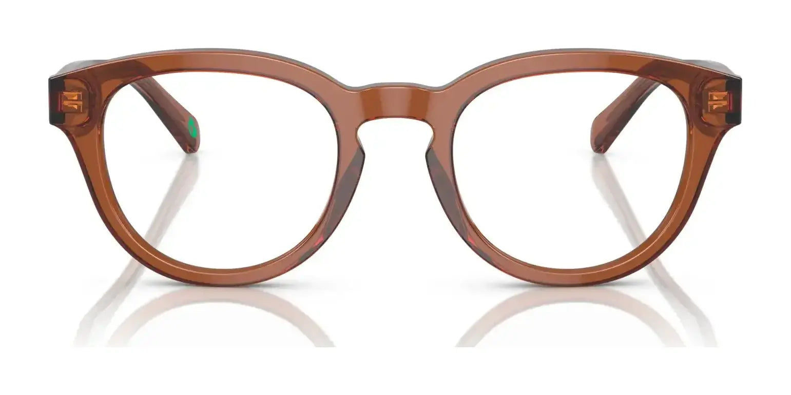 Polo PH2262 Eyeglasses