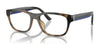 Polo PH2263U Eyeglasses / Shiny Havana Brown №5974 / Size 55