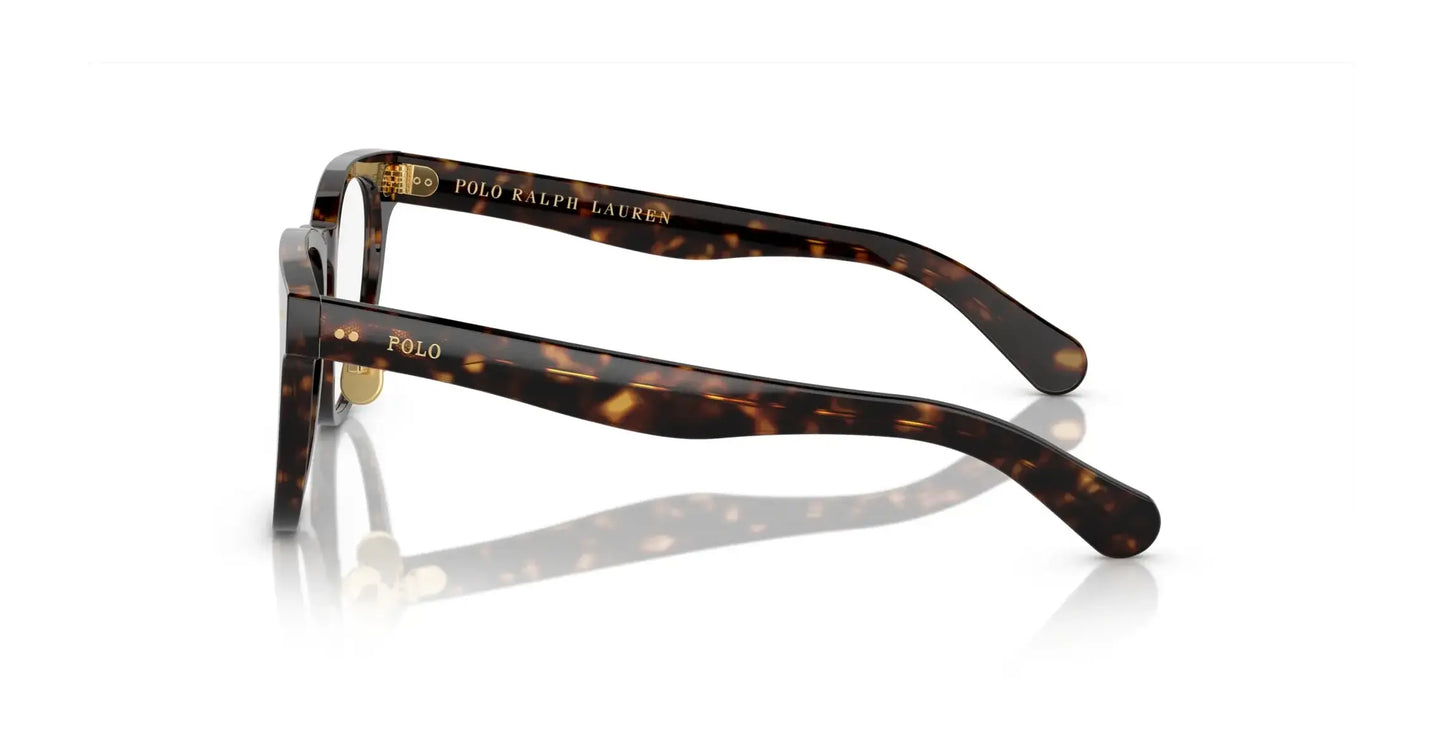 Polo PH2264D Eyeglasses | Size 52