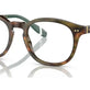 Shiny Brown Tortoise №5017