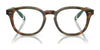Polo PH2267 Eyeglasses / Shiny Brown Tortoise №5017 / Size 50