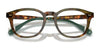 Polo PH2267 Eyeglasses / Shiny Brown Tortoise №5017 / Size 50