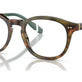 Shiny Brown Tortoise №5017