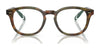 Polo PH2267F Eyeglasses | Size 50 / Shiny Brown Tortoise №5017