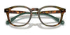 Polo PH2267F Eyeglasses | Size 50 / Shiny Brown Tortoise №5017