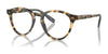 Polo PH2268 Eyeglasses / Shiny Tortoise Brown №5004 / Size 51