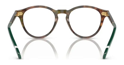 Polo PH2268 Eyeglasses | Size 49